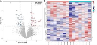 Identification of key programmed cell death-related genes and immune infiltration in extracorporeal membrane oxygenation treatment for acute myocardial infarction based on bioinformatics analysis